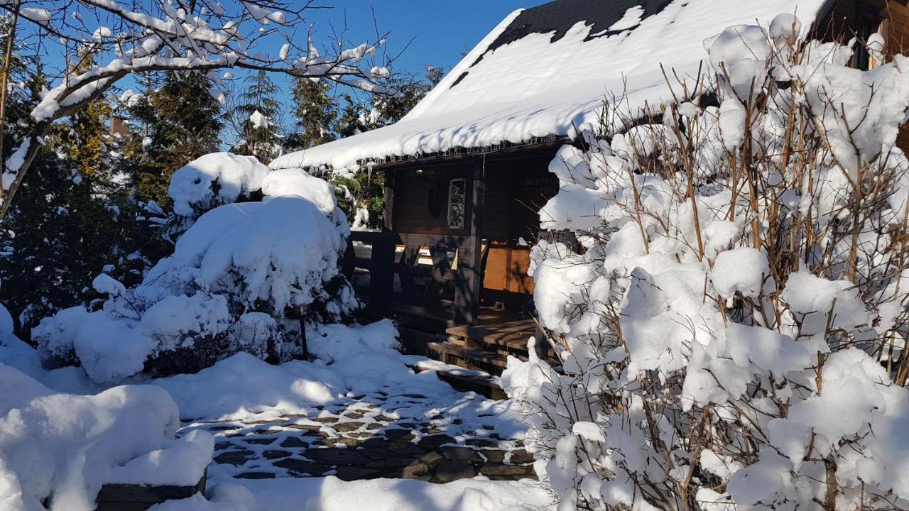 Chata Starych Znajomych Sanok Buitenkant foto
